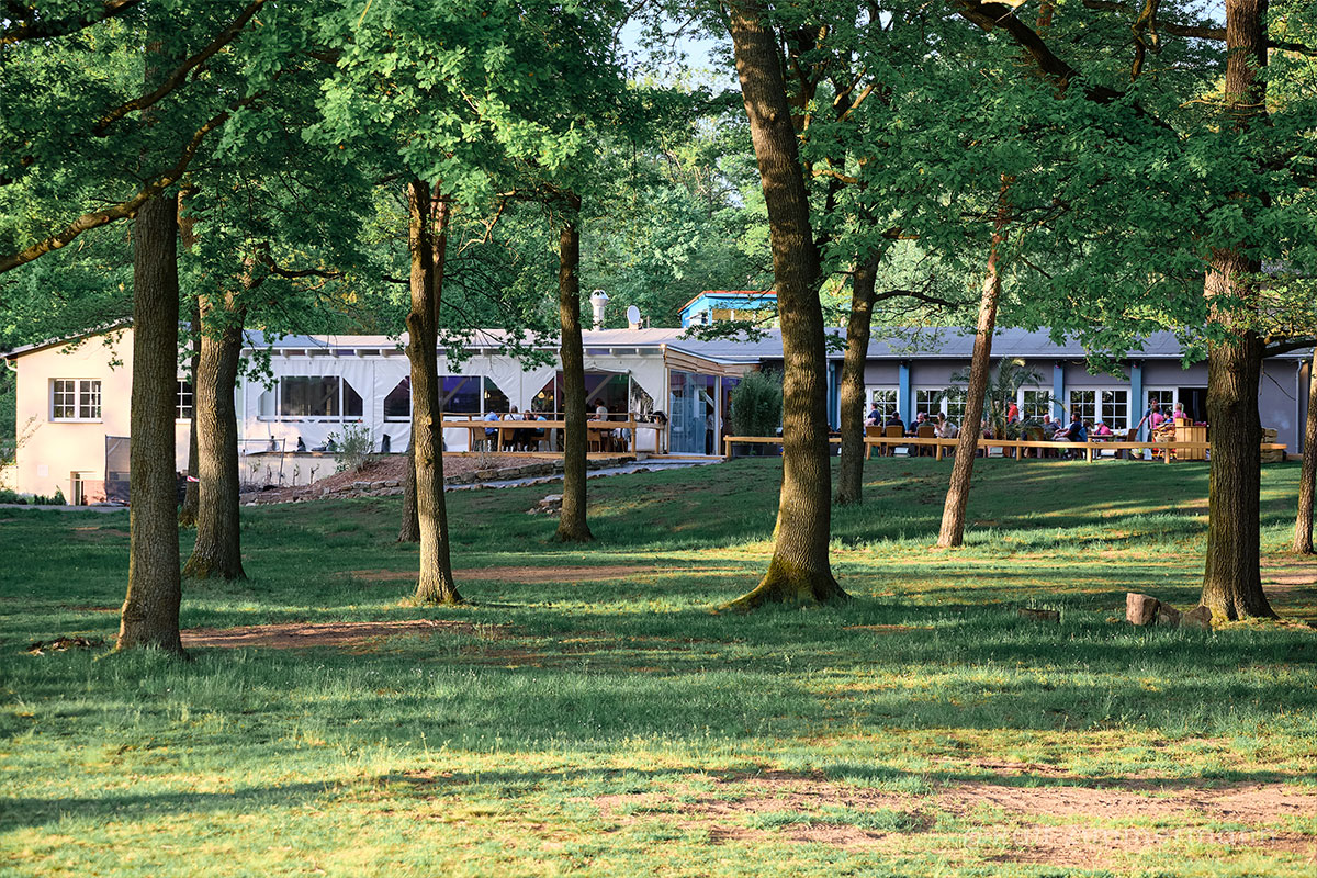 UFERZONE Moritzburg - Blick auf die UFERZONE mit Terrasse, Lodge und Haus