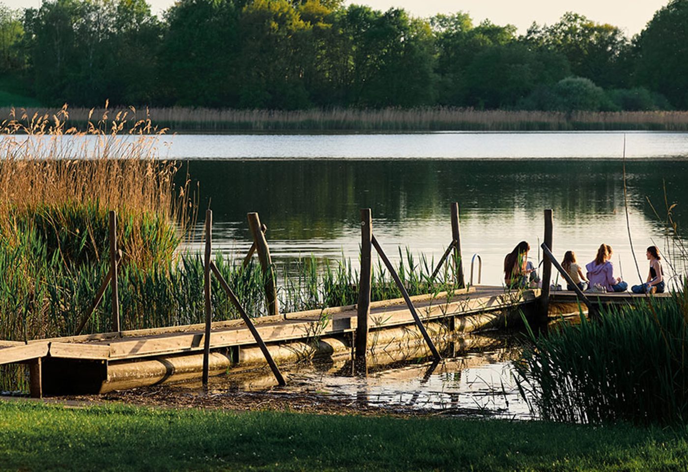 UFERZONE Moritzburg - Blick auf den Steg am Dippelsdorfer Teich